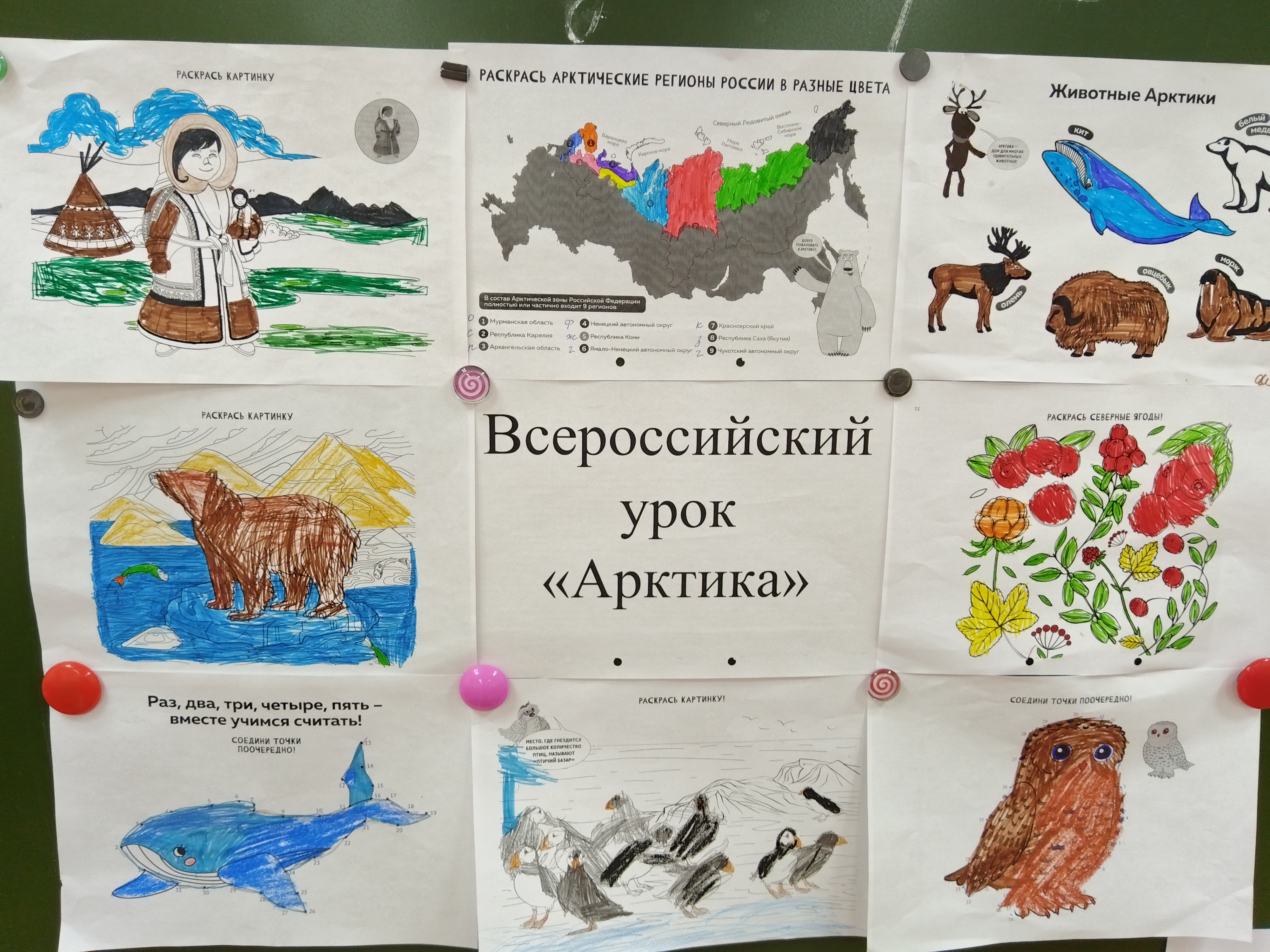 Всероссийский урок «Арктика».
